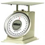 View: 1060 Heavy-Duty Receiving Scale 